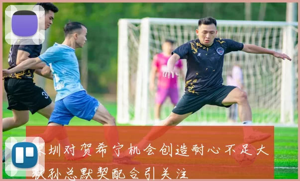 深圳对贺希宁机会创造耐心不足大秋孙总默契配合引关注